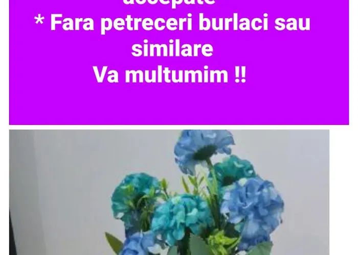 Seby 別荘 コンスタンツァ